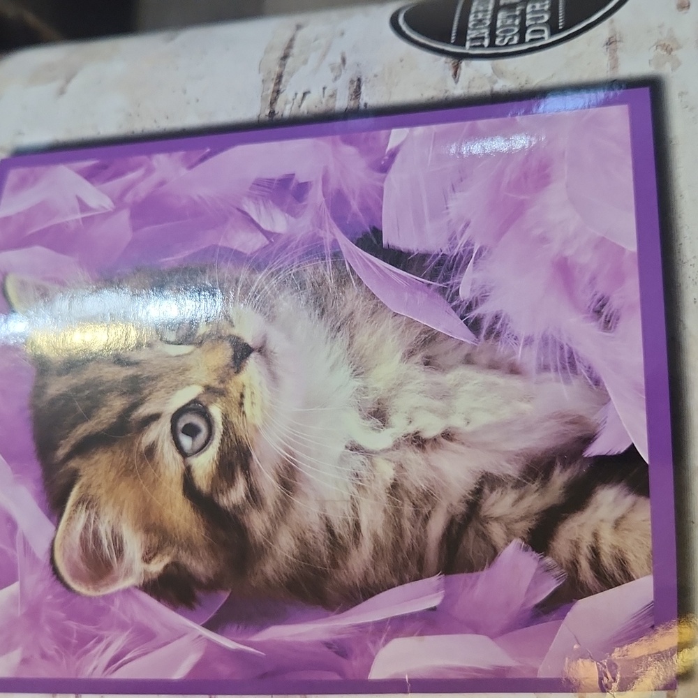 Cat throw 50 x 60 nwt